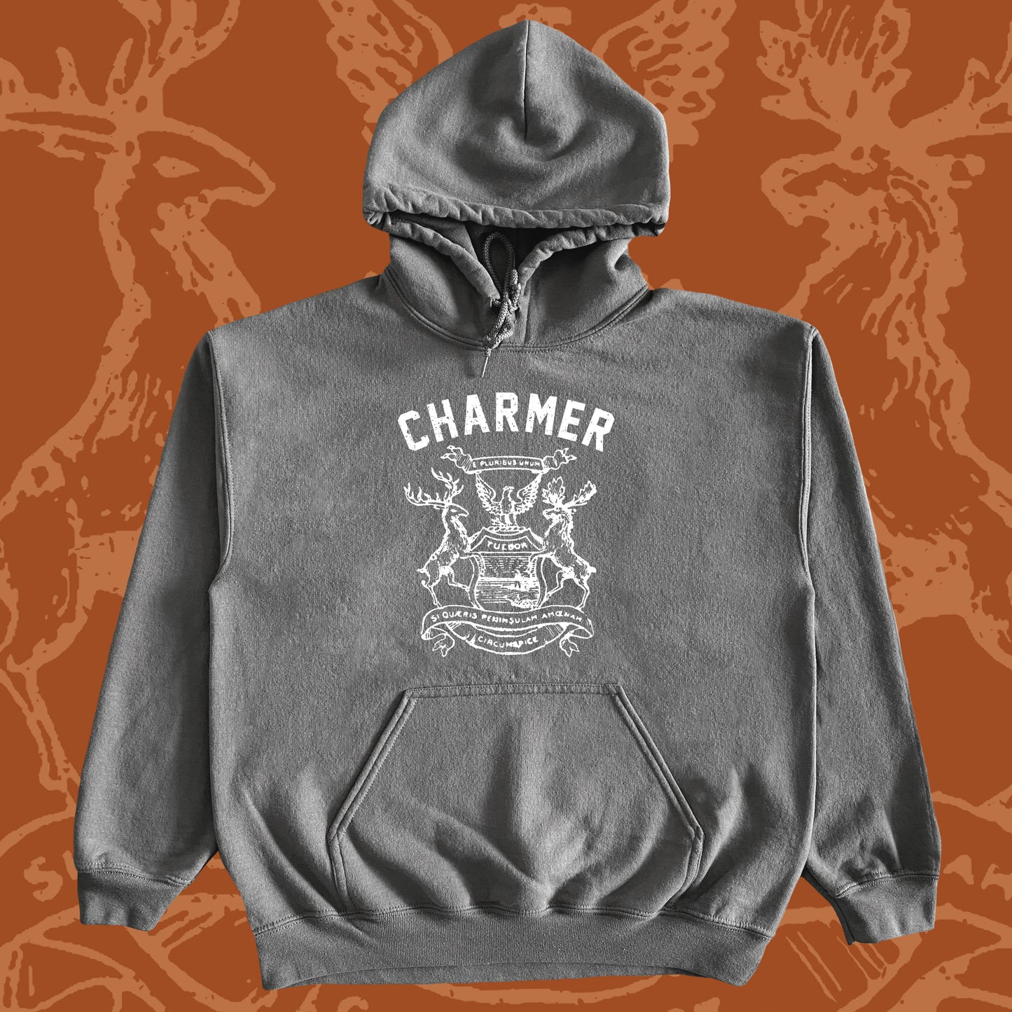 Michigan Hoodie