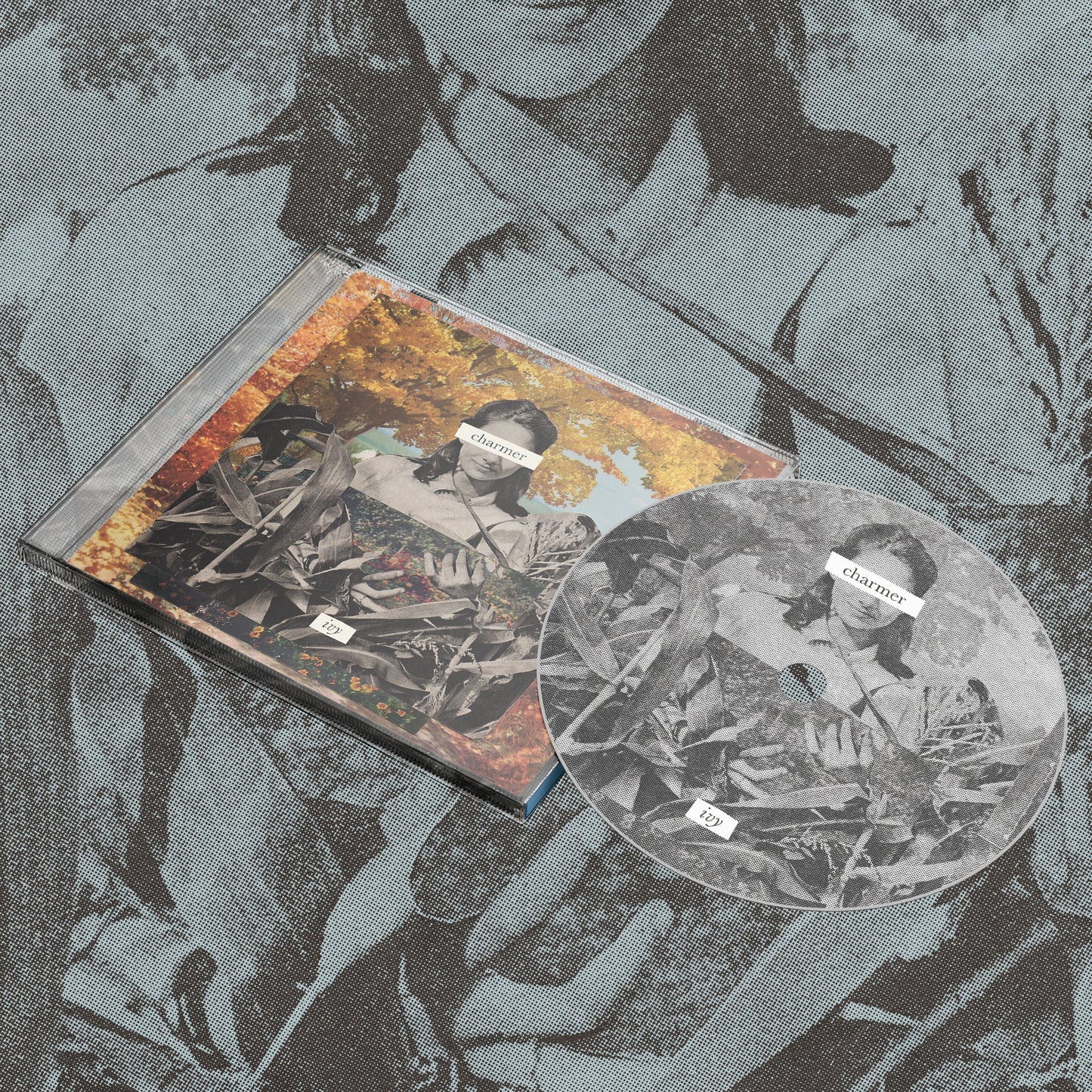 Ivy CD
